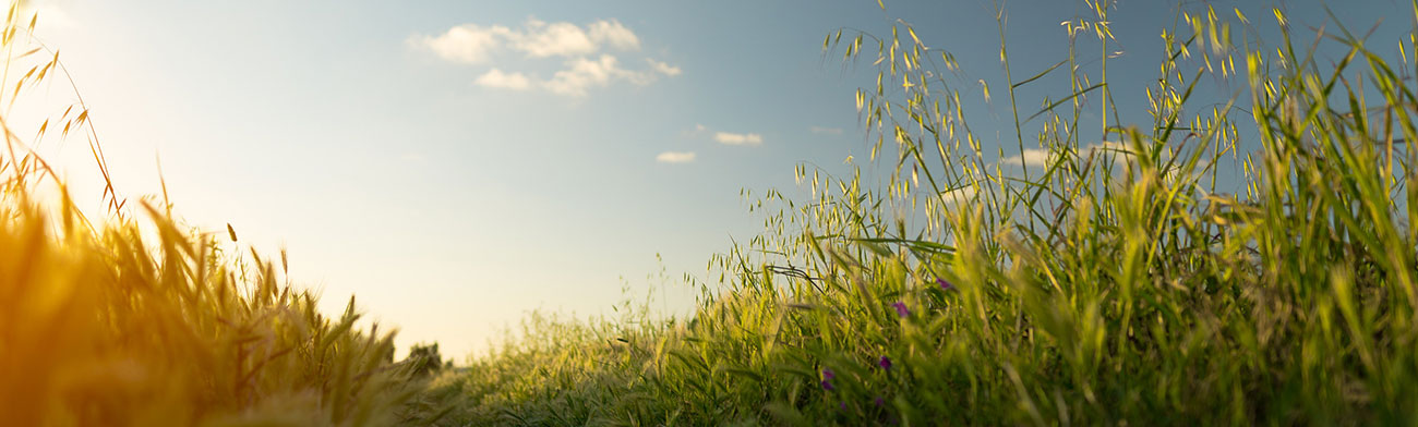 What is Gendam? The Secret Energy Art of Silent Influence & Healing